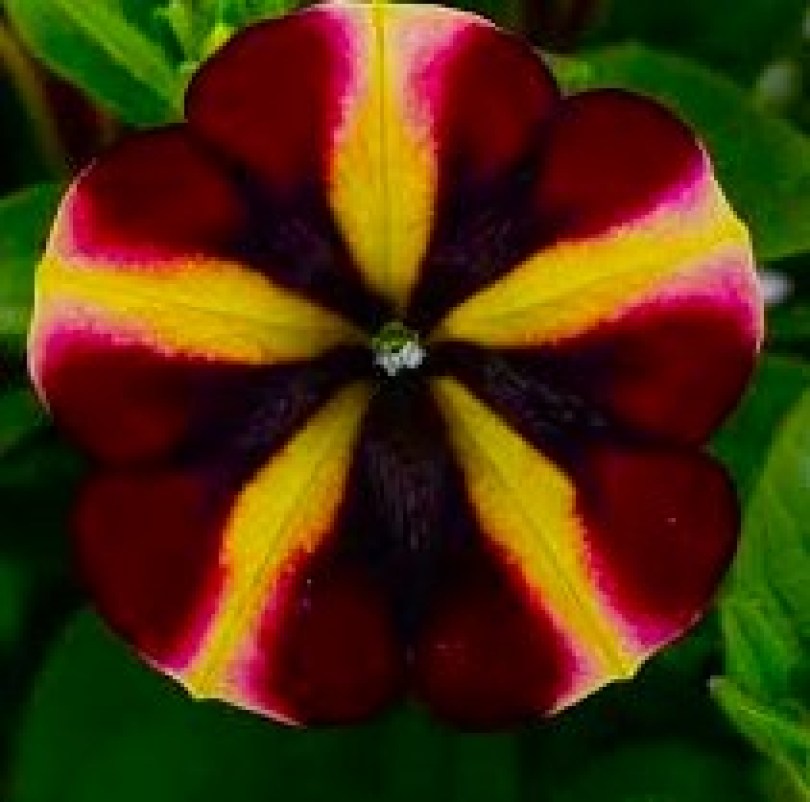 Без названия (1)49